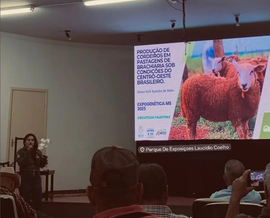 PPG na 2ª EXPOGENÉTICA MS (Grupo de Estudos em Ovinocultura)