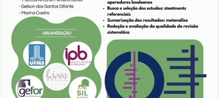 Curso de Revisão Sistemática de Literatura – IPB e UFMS