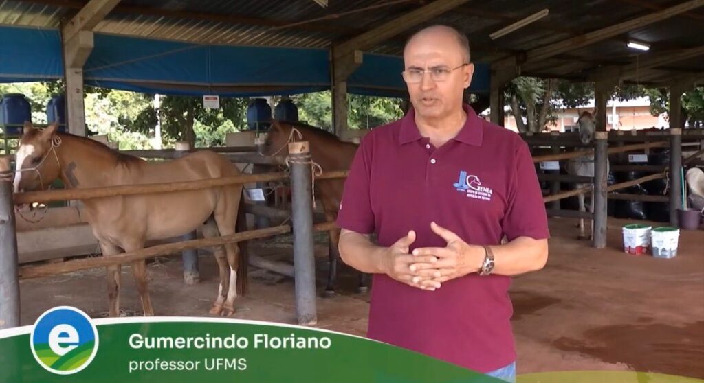PPG em Ciência Animal na Mídia – Agro Educativa MS